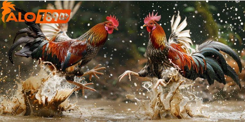 Khi tham gia bắt kèo nên chọn học hỏi kinh nghiệm từ người chơi có kinh nghiệm