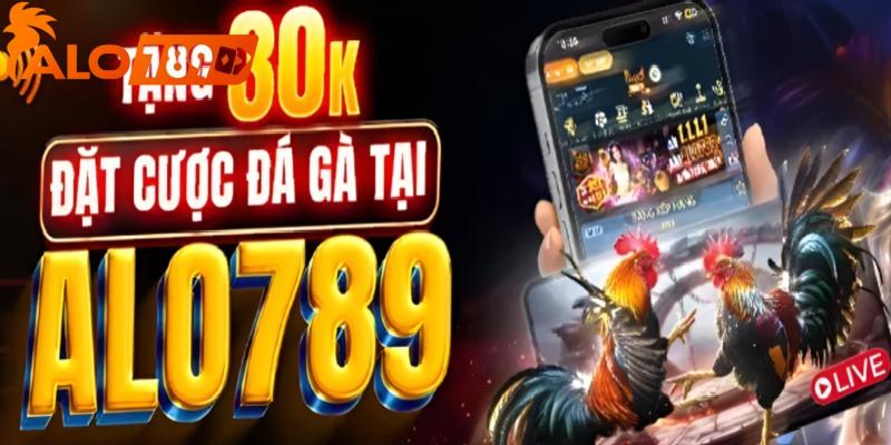 Xem đá gà ALO789 +30K đặt cược